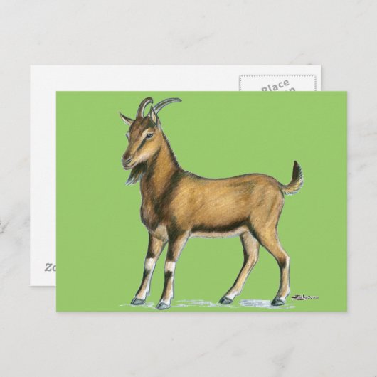 Ziege: braun postkarte (Vorne/Hinten)