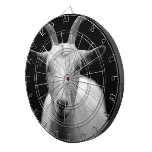 Ziege Dartscheibe (Vorderseite rechts)