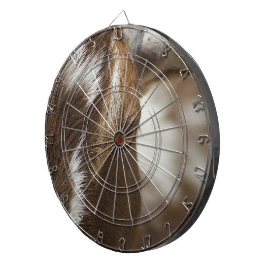 Ziege Dartscheibe (Vorderseite rechts)