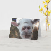 Ziege, die entlang der Mann-Gruß-Karte anstarrte Karte (Gelbe Blume)