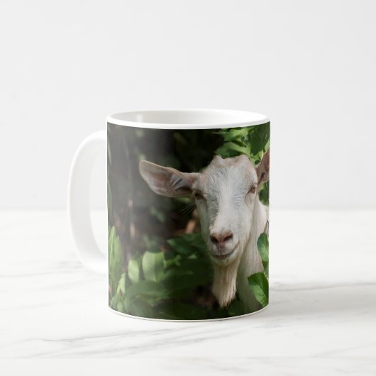 Ziege, die Kamera ansieht Kaffeetasse (Vorderseite Links)