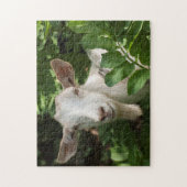 Ziege, die Kamera ansieht Puzzle (Vertikal)