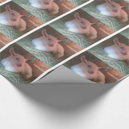 Ziege Doeling Packpapier (Ecke)