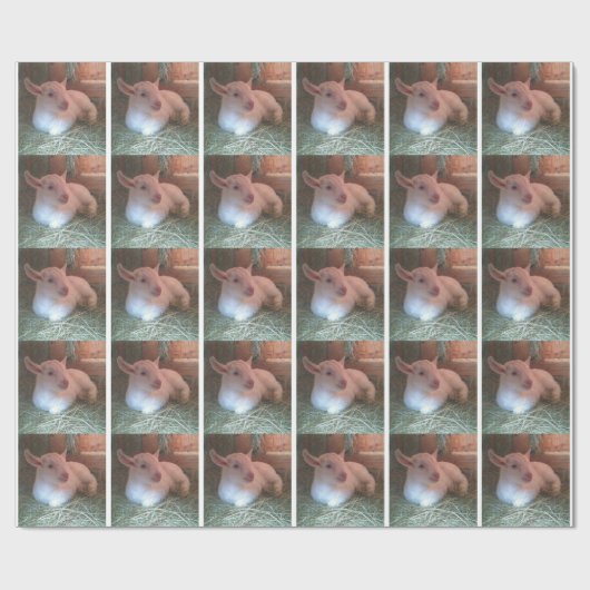 Ziege Doeling Packpapier (Flach)