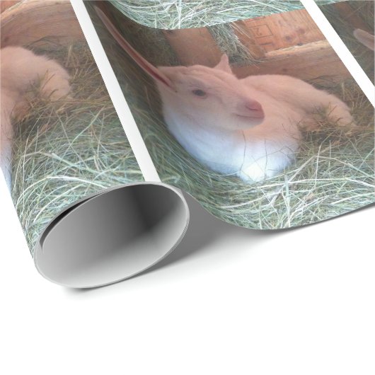 Ziege Doeling Packpapier (Rolleneckpunkt)