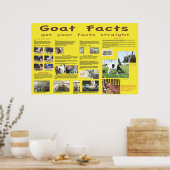 Ziege Fakten Poster 1 (Küche)