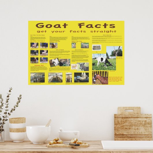 Ziege Fakten Poster 1 (Küche)