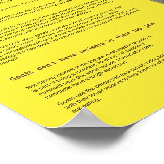 Ziege Fakten Poster 2 (Ecke)