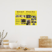 Ziege Fakten Poster 2 (Küche)