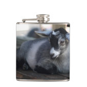 Ziege Flachmann (Vorderseite)