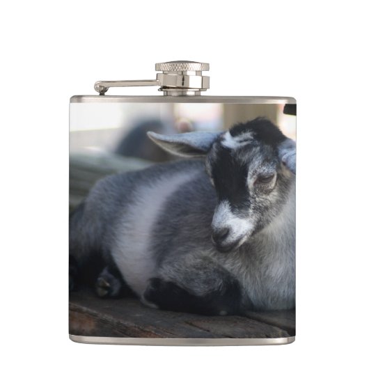 Ziege Flachmann (Vorderseite)