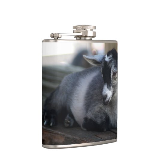 Ziege Flachmann (Rechts)