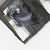 Ziege Fleecedecke (Ecke)