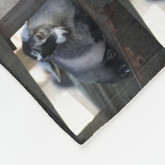 Ziege Fleecedecke (Ecke)