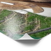 Ziege Fotodruck (Ecke)