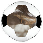 Ziege Fußball (Gedreht)