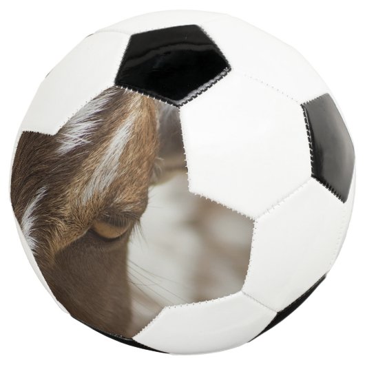 Ziege Fußball (Dreiviertel)