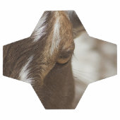 Ziege Fußball (Flach)