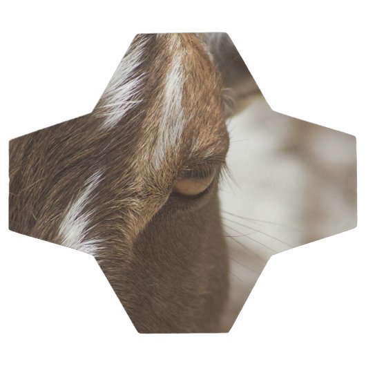 Ziege Fußball (Flach)