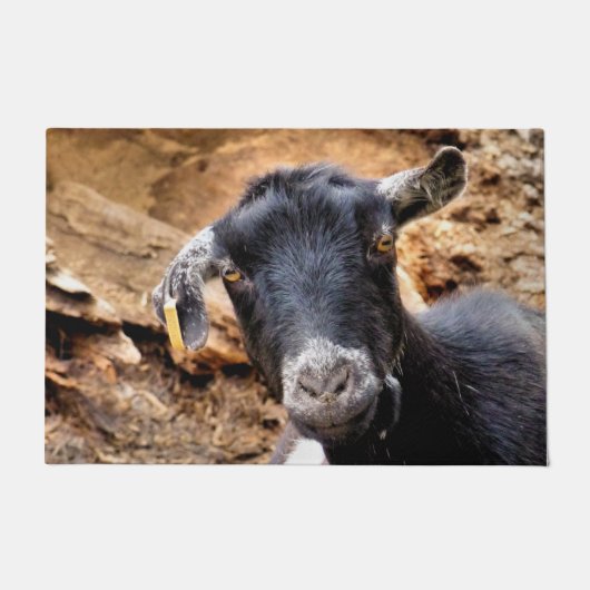 ZIEGE FUßMATTE (Vorderseite)