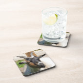 ZIEGE GETRÄNKEUNTERSETZER (Rechte Seite)