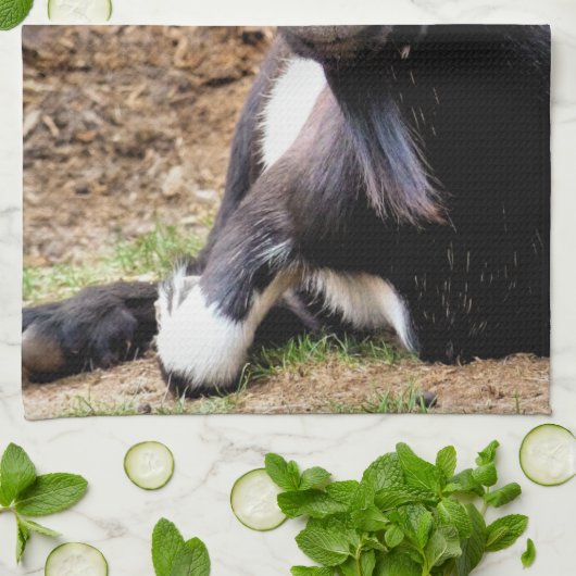 ZIEGE HANDTUCH (Gefaltet)