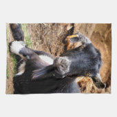 ZIEGE HANDTUCH (Horizontal)