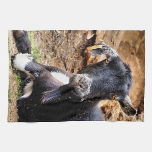 ZIEGE HANDTUCH (Horizontal)