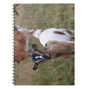 Ziege in einem Feld Notizblock