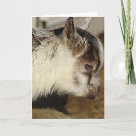 Ziege Karte (Vorderseite)