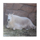 Ziege Keramik Tile Fliese (Vorderseite)