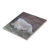 Ziege Keramik Tile Fliese (Seite)