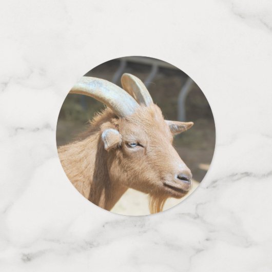 Ziege Konfetti (Klein Vorderseite)