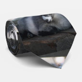 Ziege Krawatte (Gerollt)