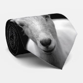 Ziege Krawatte (Gerollt)