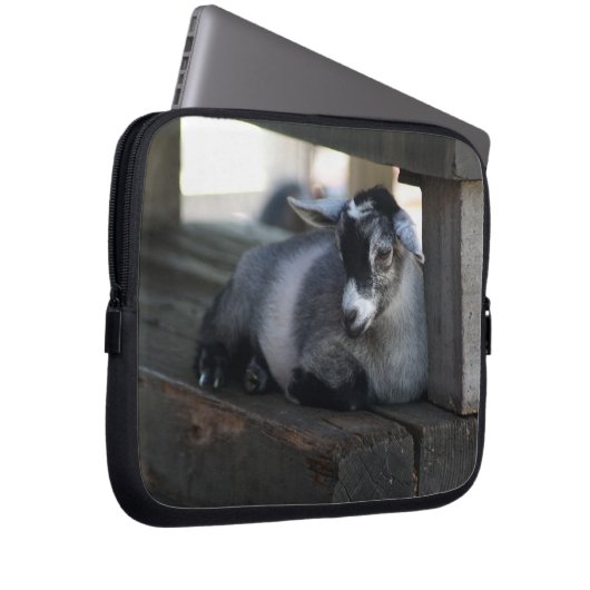 Ziege Laptopschutzhülle (Vorne Rechts)