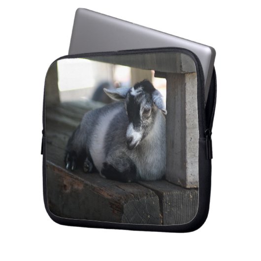 Ziege Laptopschutzhülle (Vorderseite Links)