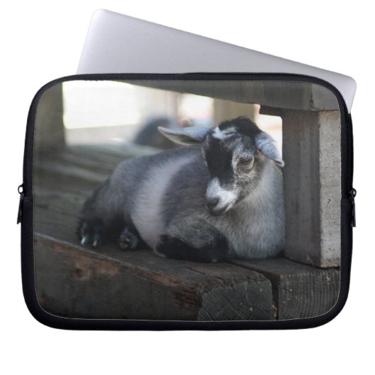 Ziege Laptopschutzhülle (Vorderseite)