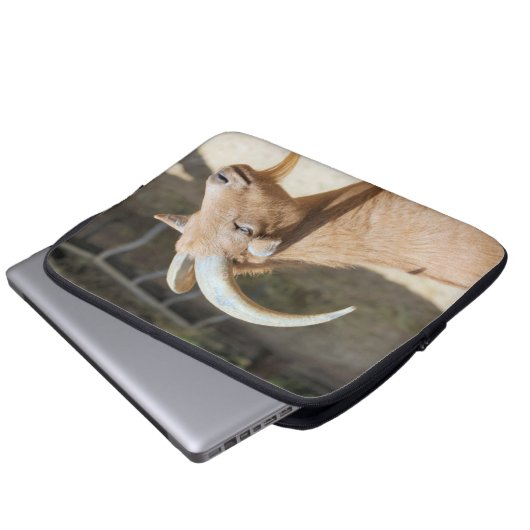Ziege Laptopschutzhülle (Vorne Knopf)
