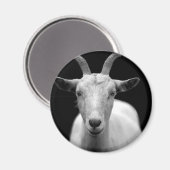 Ziege Magnet (Vorderseite/Rückseite)