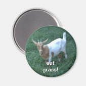 Ziege Magnet (Vorderseite/Rückseite)