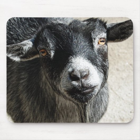 Ziege Maus Pad Mousepad (Vorne)