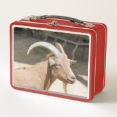 Ziege Metall Brotdose (Vorderseite)