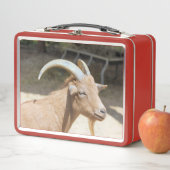 Ziege Metall Brotdose (Beispiel)