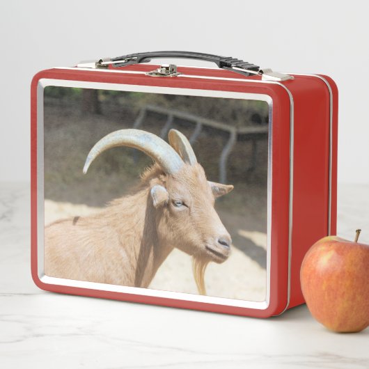 Ziege Metall Brotdose (Beispiel)