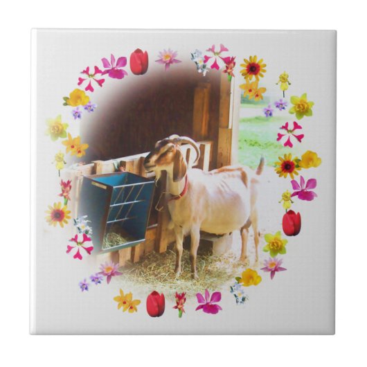 Ziege mit Blume Fliese (Vorderseite)