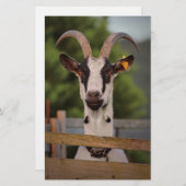 Ziege mit Horns Stehend gegen Zaun Briefpapier (Vorne/Hinten)