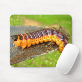 Ziege Moth Raupe Mouse Mat Mousepad (Mit Mouse)