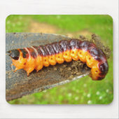 Ziege Moth Raupe Mouse Mat Mousepad (Vorne)
