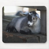 Ziege Mousepad (Vorne)